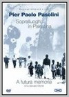 A Futura Memoria: Pier Paolo Pasolini